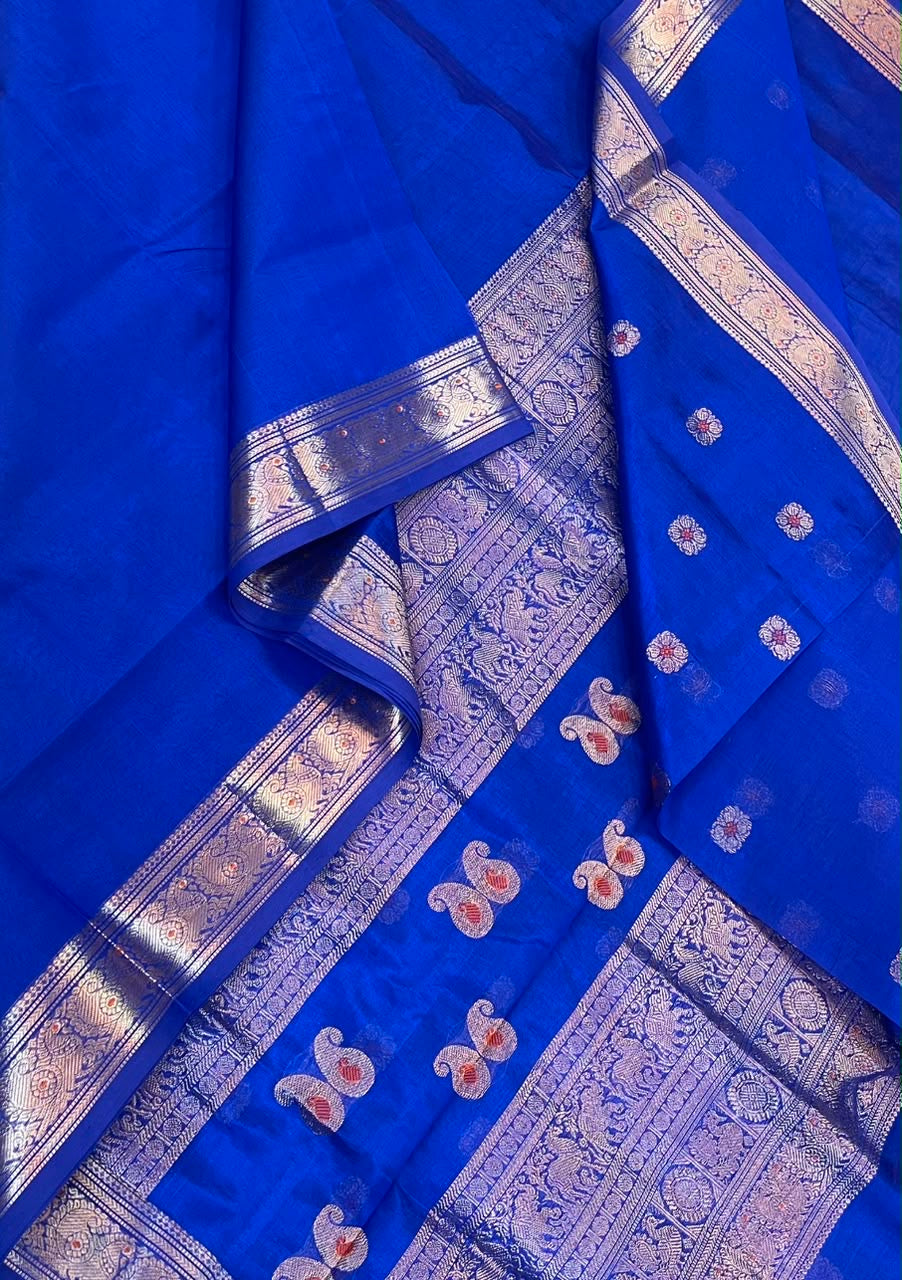 Kanchi Silk Cotton Sarees | luxury silk cotton | tiny meena border X blouse meena motif | electric blue