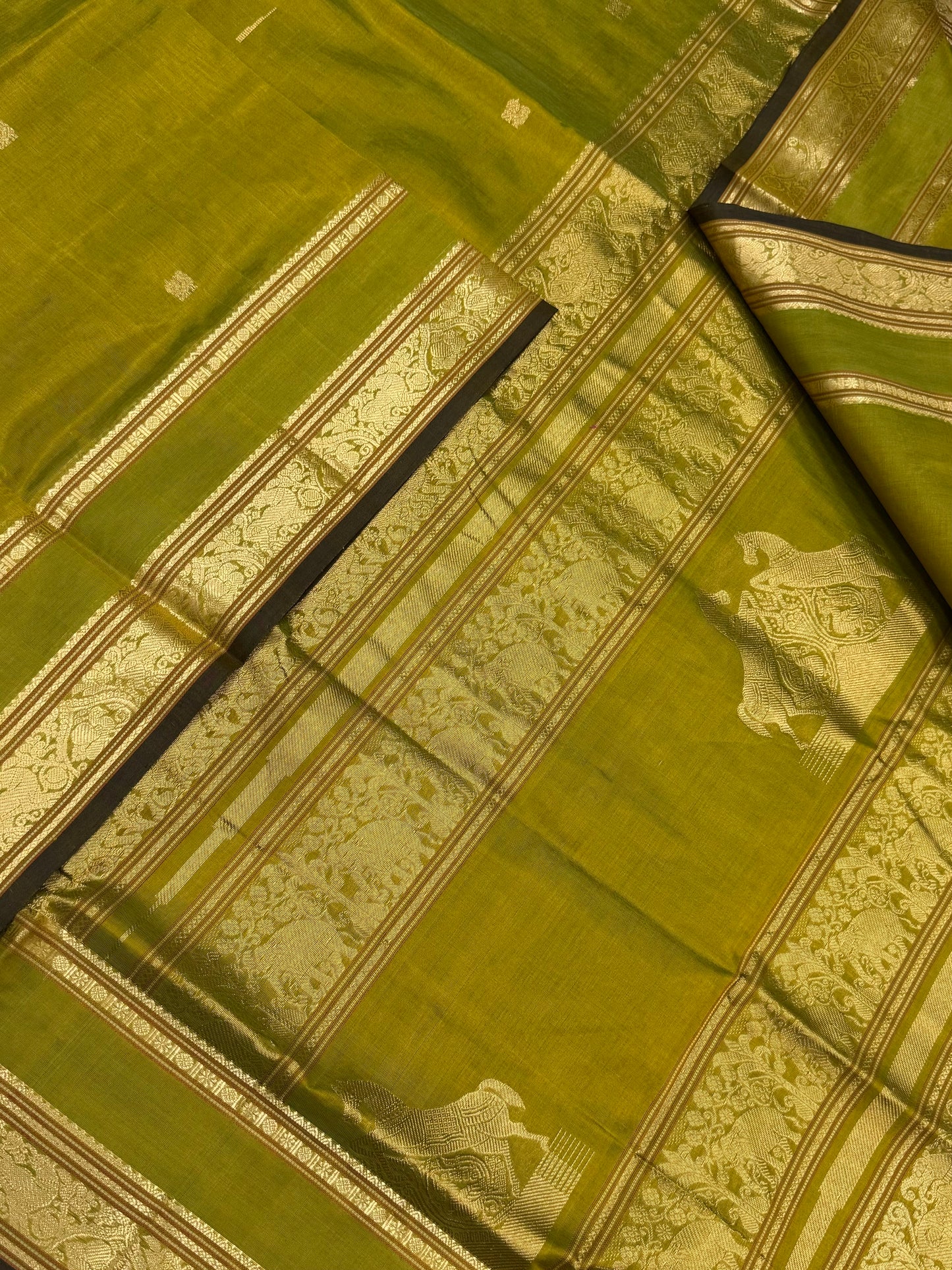 Kanchi Silk Cotton Sarees | horse pallu kattam X rettaipet border | leaf green