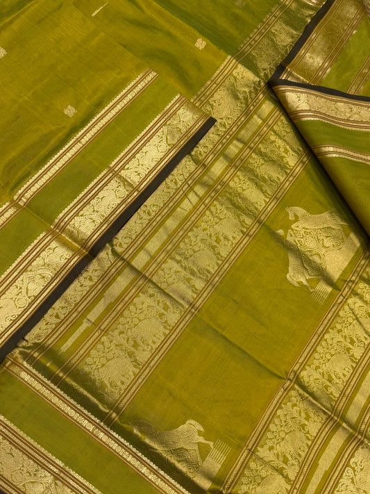 Kanchi Silk Cotton Sarees | horse pallu kattam X rettaipet border | leaf green