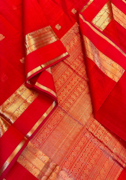 Kanchi Silk Cotton Sarees | luxury silk cotton | mayil motif | orange X gold