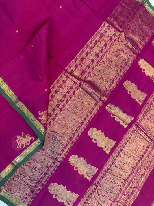 Pure Handloom Kanchi rich Cotton Saree | pink x green & rich shimmayhazli Pallu |