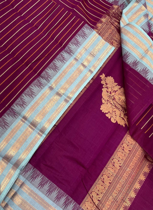 Kanchi handloom rich cotton |veldhari thread BUTTA x triple Zari border x vanasingaram pallu | dark violet x sky blue