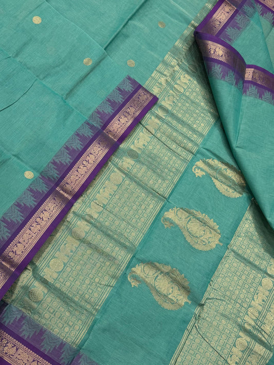 Pure Handloom Kanchi rich Cotton Saree | aqua torquise blue X violet | tiny border Zari temple border X mango motif