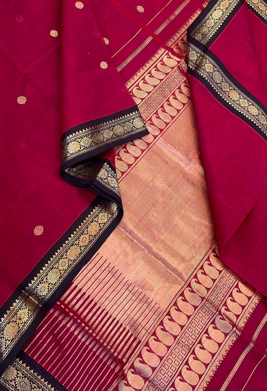 Kanchi Silk Cotton Sarees | luxury silk cotton | tiny border  X rich pallu   | marrom x black