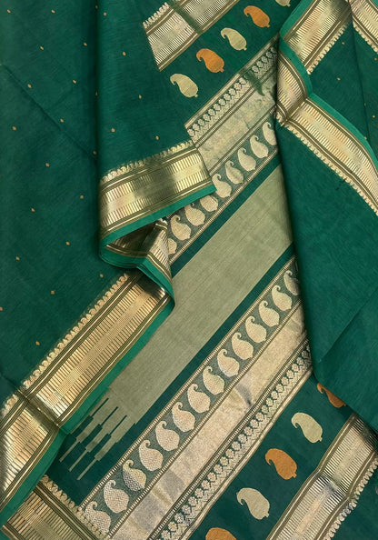 Kanchi Silk Cotton Sarees | luxury silk cotton | bindhi butta X Zari border | green x gold