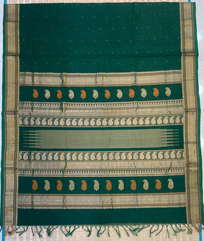 Kanchi Silk Cotton Sarees | luxury silk cotton | bindhi butta X Zari border | green x gold