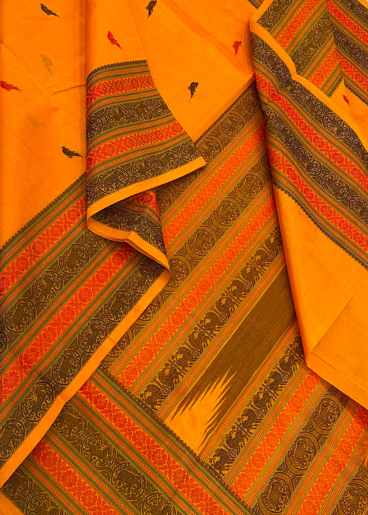 Kanchi Silk Cotton Sarees | luxury silk cotton | killi motif x thread border | manjal x Orange
