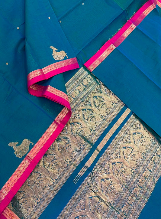 Pure Handloom Kanchi rich Cotton Saree | peacock blue X pink  | tiny border X rich handwoven zari pallu