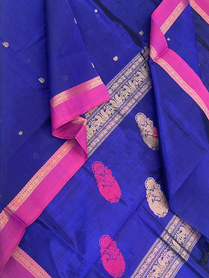 Kanchi Silk Cotton Sarees | tiny zari border X thread & zari pallu | royal blue x hot pink