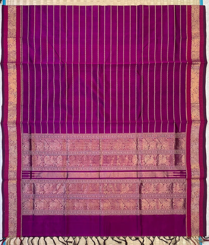 Kanchi Silk Cotton Sarees | neli zari veldhari X rich pallu | majenta pink x gold